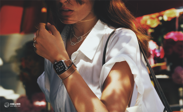 唱衰蘋果前知道的五個事實(shí)  最大危機(jī)在哪里？