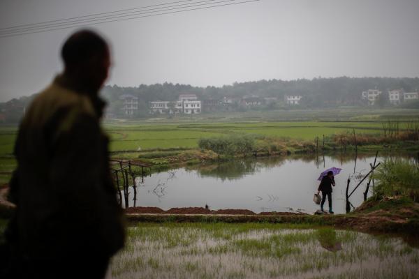 湖南衡陽易XX等53人訴衡陽美侖化工環(huán)境污染兒童血鉛超標(biāo)案