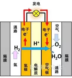 1461804952968304.jpg 1.webp.jpg