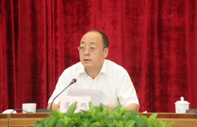 國家能源局梁志鵬：五方面創新促光伏產業轉型升級