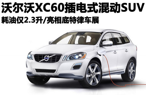沃爾沃 沃爾沃
