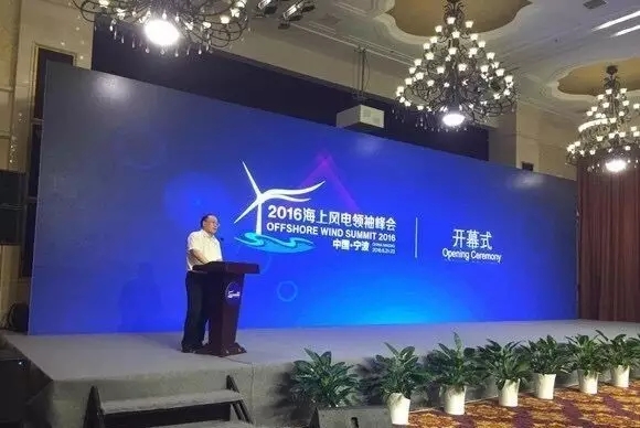 圖為國家能源局新能源和可再生能源司副司長史立山致辭 圖為國家能源局新能源和可再生能源司副司長史立山致辭