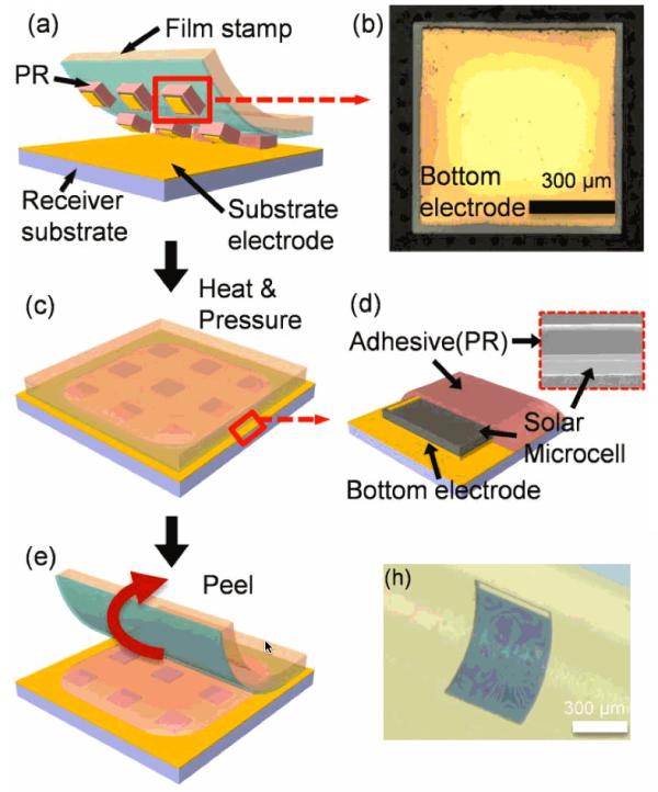 超薄柔性砷化鎵太陽能微電池的制作流程。