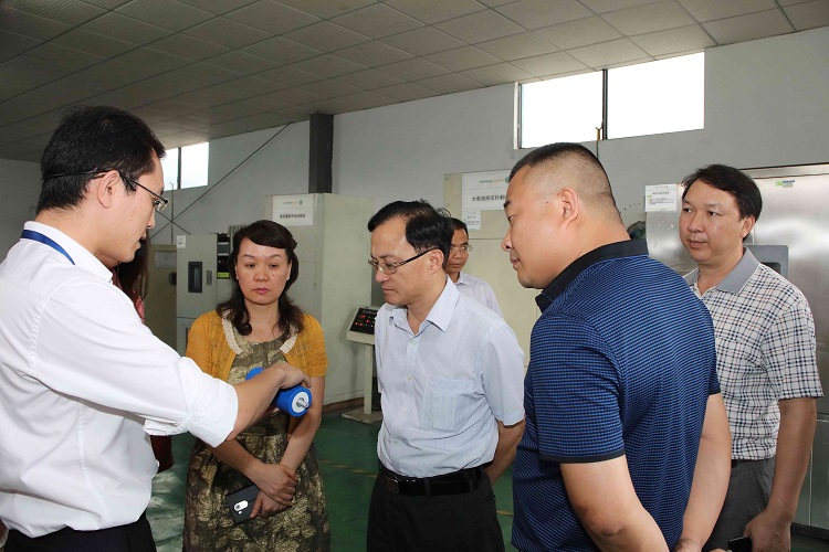 廣西來賓市市長雷應敏一行蒞臨銀隆新能源