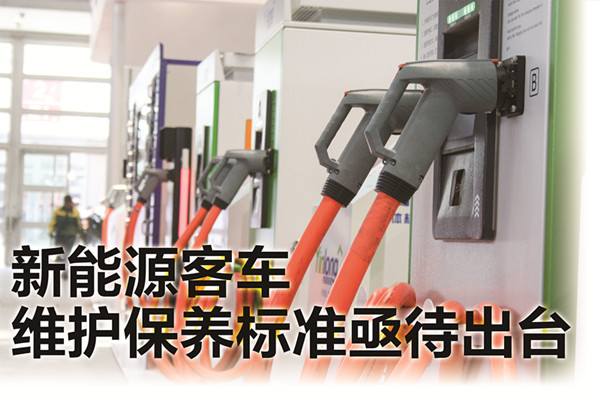 數量多、規模大