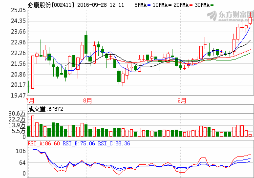 必康股份 必康股份
