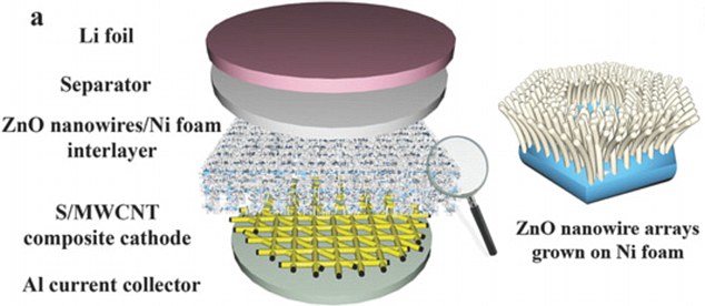 延長使用壽命 人類腸道構造激發新電池解決方案 延長使用壽命 人類腸道構造激發新電池解決方案
