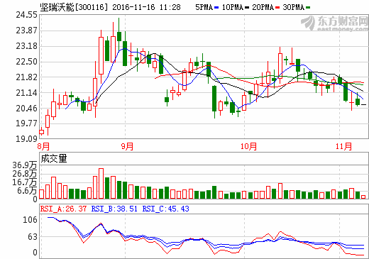 堅(jiān)瑞沃能 堅(jiān)瑞沃能