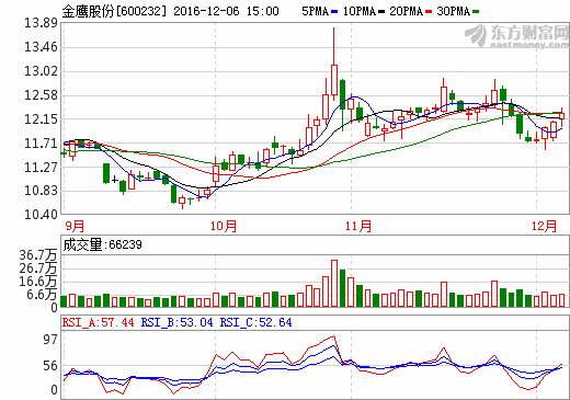 金鷹股份 金鷹股份