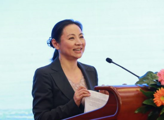 銀隆何以獲得董明珠與王健林等超強(qiáng)陣容30億投資？