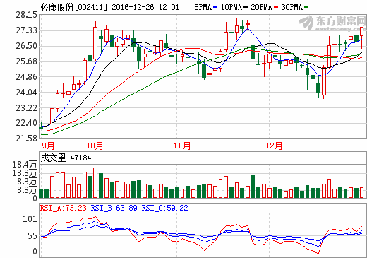 必康股份 必康股份
