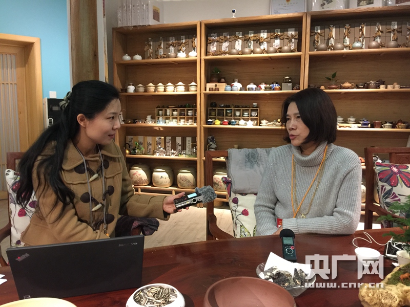 人大代表董明珠：新能源汽車(chē)不能完全以盈利為目的