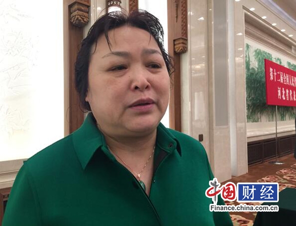 新能源汽車"地方保護"?人大代表：避免地方過度干預(yù)