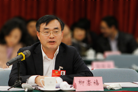 全國政協委員、協鑫（集團）控股有限公司副總裁柳崇禧