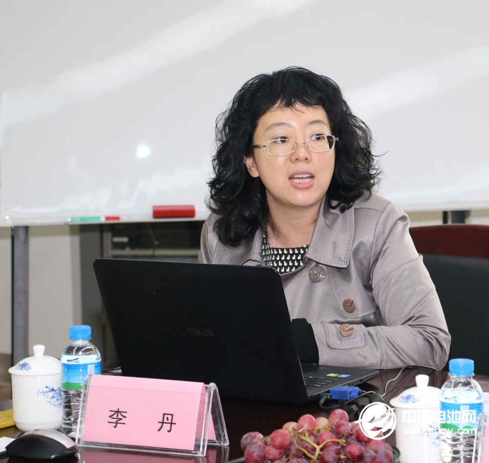 比克電池戰略規劃中心副總裁李丹