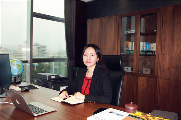 微宏動力高級營銷副總裁何欣 微宏動力高級營銷副總裁何欣