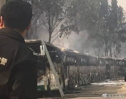 北京蟹島度假村停車場突發大火 北京蟹島度假村停車場突發大火