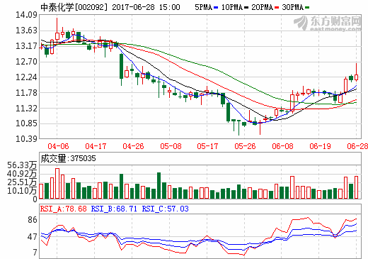 中泰化學 中泰化學