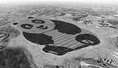 世界上最萌的光伏電站：一只占地1500畝的“大熊貓”
