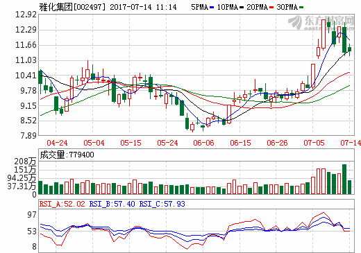 業(yè)績靚麗卻遭閃崩 雅化集團急釋鋰礦資產(chǎn)近況