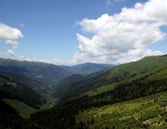 雅化集團(tuán) 雅化集團(tuán)