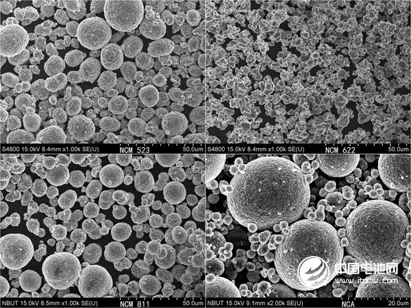 容百鋰電產品 中國電池網資料圖