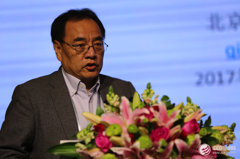 北京大學教授、鋰電“達沃斯”學委會主席其魯