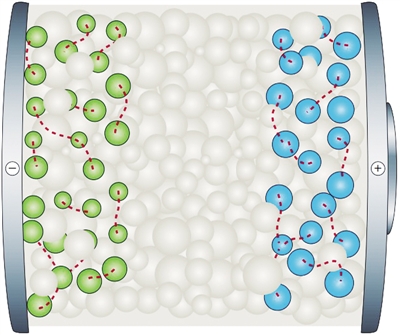 1512436613695371.jpg W020171204335477445828.jpg