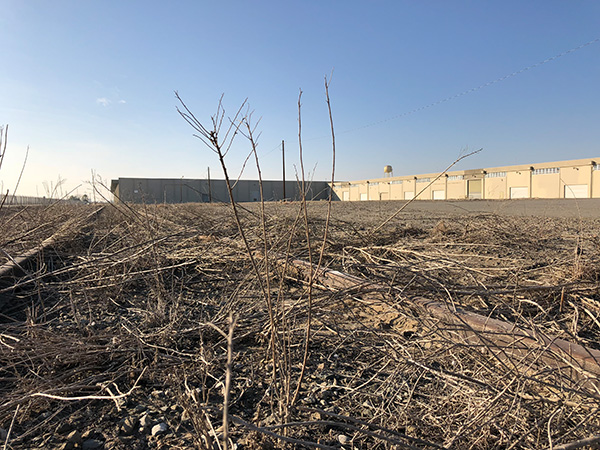 探訪賈躍亭美國造車工廠：沒有任何生產(chǎn)設(shè)備 僅一名員工打卡