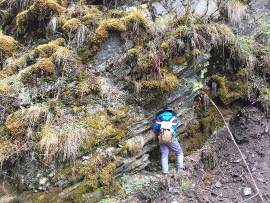 近年四川鋰礦探明超200萬噸 或成新能源車電池“主力軍” 近年四川鋰礦探明超200萬噸 或成新能源車電池“主力軍”