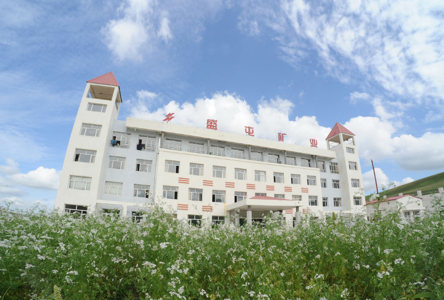 盛屯礦業 盛屯礦業