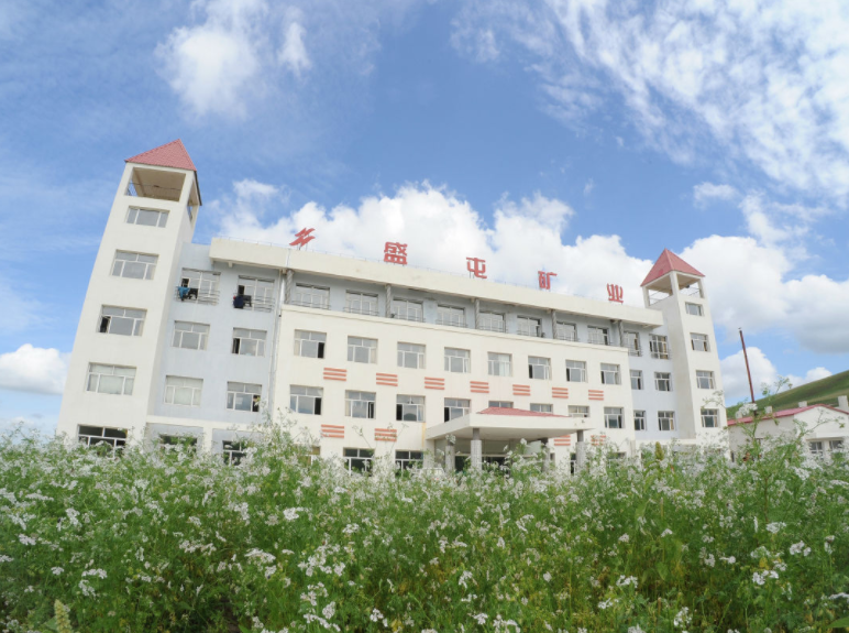 盛屯礦業 盛屯礦業