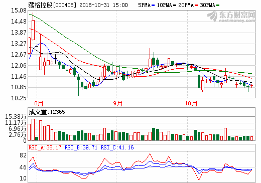 藏格控股 藏格控股