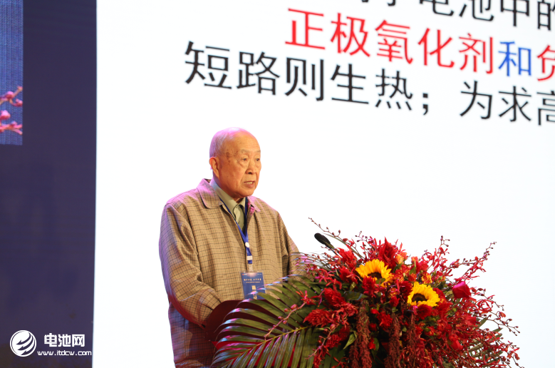 中國工程院院士楊裕生 中國工程院院士楊裕生