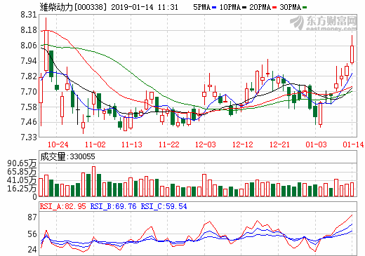 濰柴動力 濰柴動力