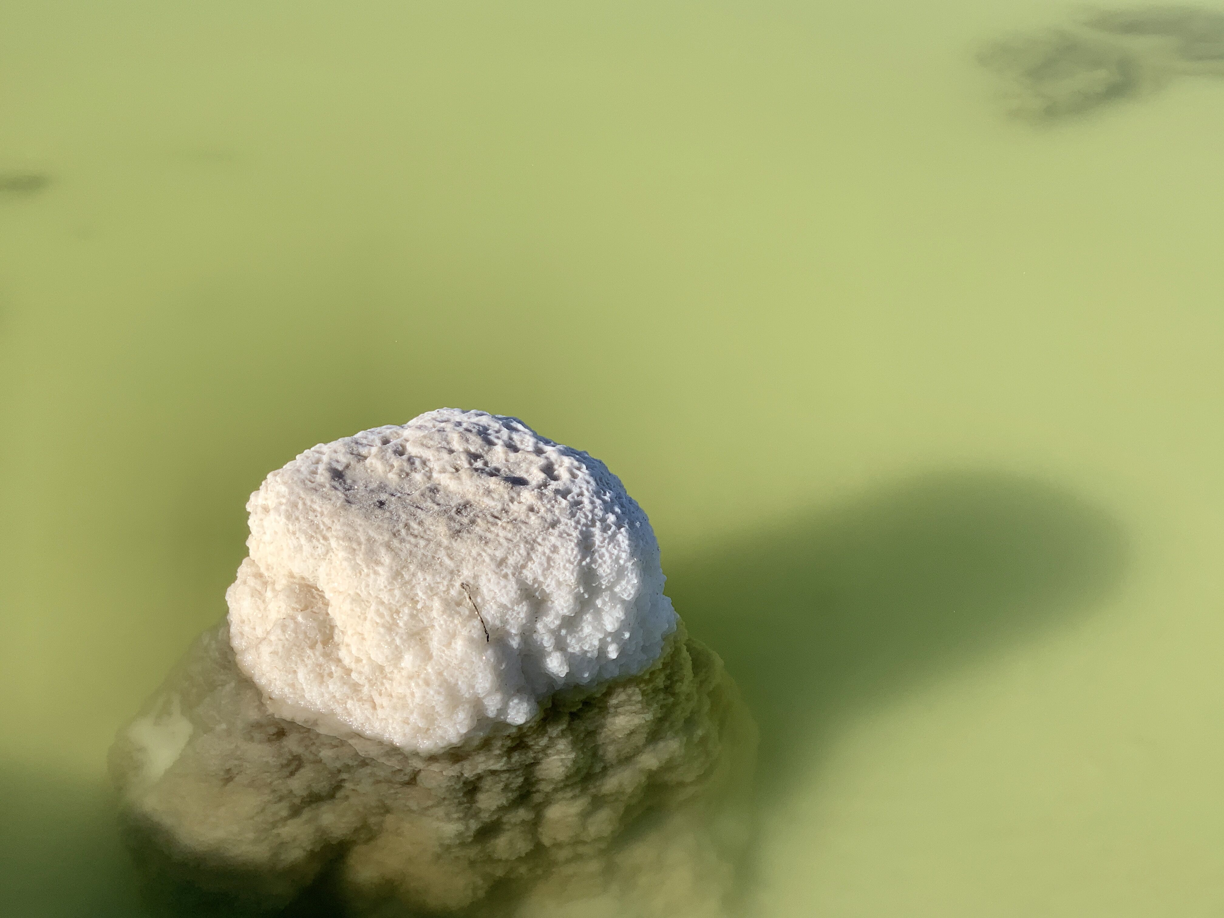 供需格局變化 新能源金屬鈷、鋰跌落神壇