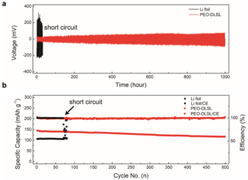 中國科大仿硅藻土多級結構研制高性能固態(tài)鋰電池復合負極