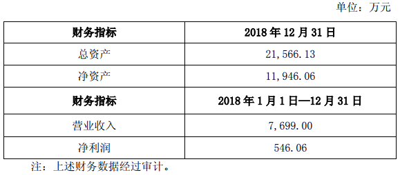 新源動力2018年的主要財務數(shù)據(jù)