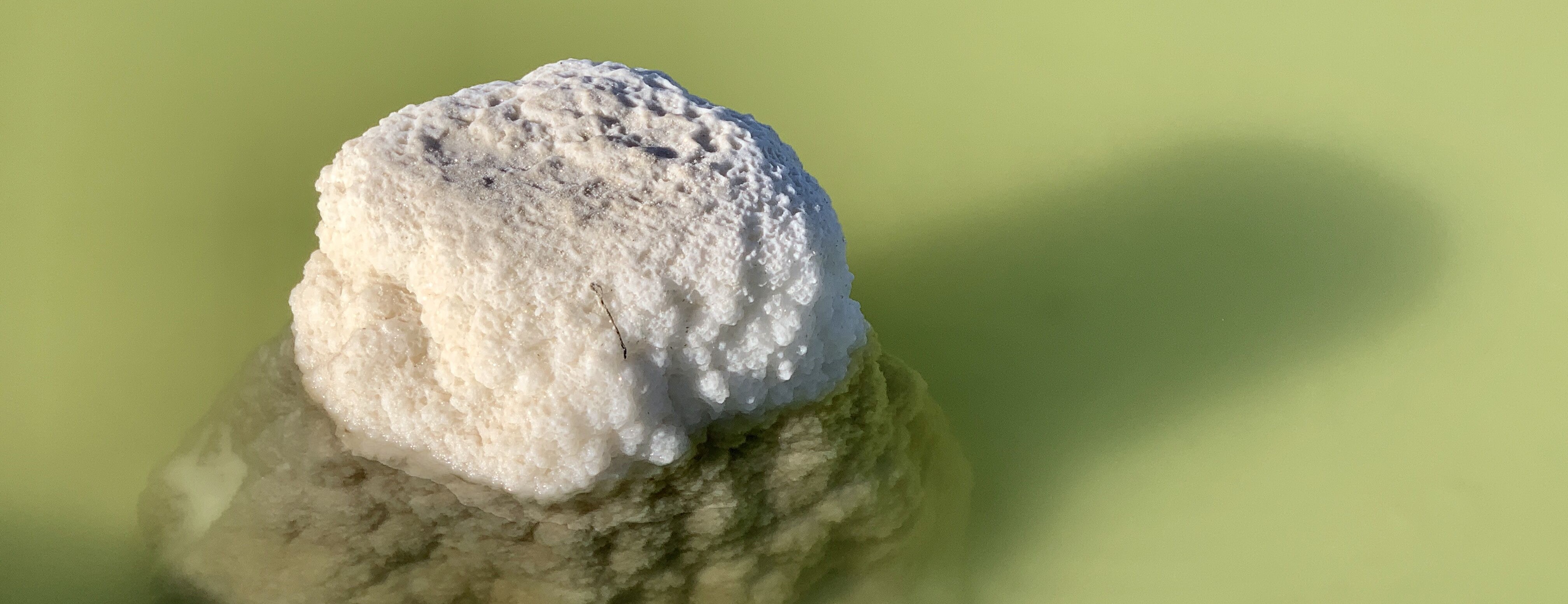 2019下半年化工市場展望 碳酸鋰：成本支撐 走勢平穩(wěn)