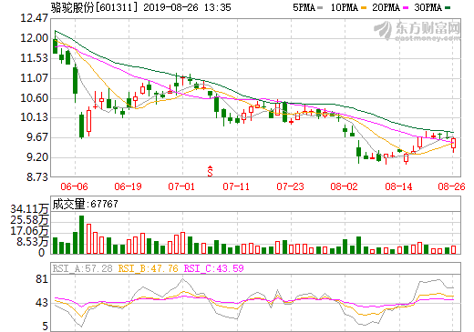 駱駝股份 駱駝股份