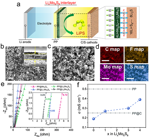 圖1. PP@LixMo6S8相關性質表征及其在鋰-硫電池中工作原理示意圖