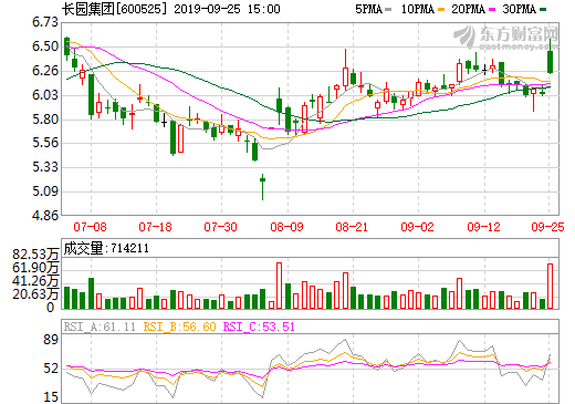 長(zhǎng)園集團(tuán)