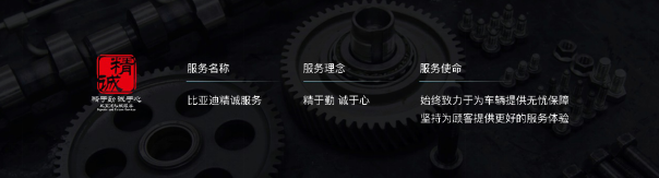 比亞迪,新能源,秦 比亞迪,新能源,秦