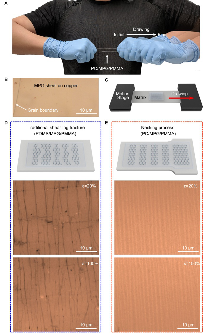 利用局域應變裁剪技術實現單層多晶石墨烯的可控斷裂
