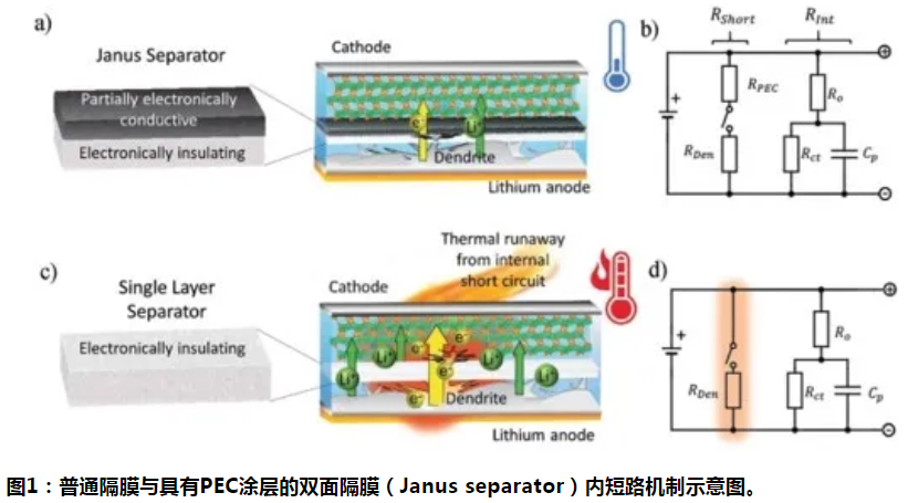 先阻后導(dǎo)：單側(cè)導(dǎo)電隔膜降低電池內(nèi)短路危害