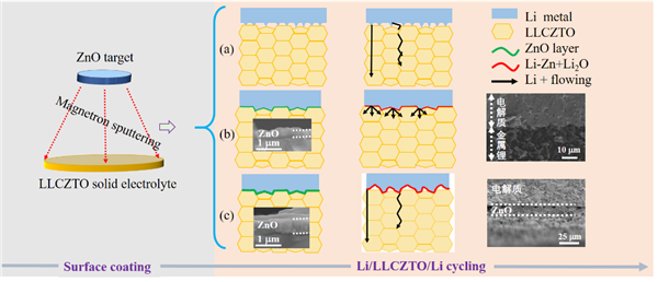 圖1. 通過磁控濺射在固態電解質表層濺射不同厚度的ZnO鍍層對界面穩定性及鋰離子傳輸過程影響示意圖。(a)無過渡層;(b)少量ZnO;(c)大量ZnO。 圖1. 通過磁控濺射在固態電解質表層濺射不同厚度的ZnO鍍層對界面穩定性及鋰離子傳輸過程影響示意圖。(a)無過渡層;(b)少量ZnO;(c)大量ZnO。