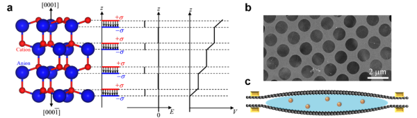 BeO纖鋅礦結(jié)構(gòu)極性原子模型與石墨烯液相反應(yīng)池