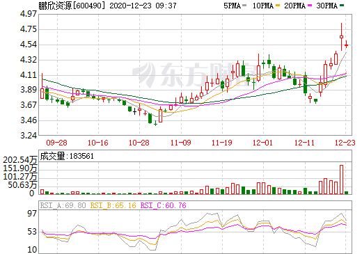 鵬欣資源 鵬欣資源