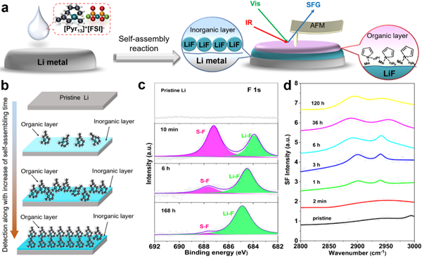 圖2.有序結構SAHL-Li的自組裝演化過程及其界面有機、無機層的表征