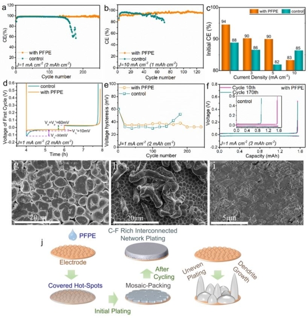 圖2.鋰銅非對稱電池的電化學性能、鋰在銅表面的沉積形貌和沉積演化